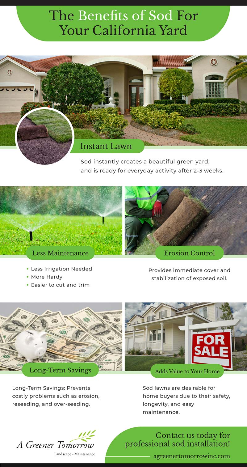 Infographic about Sod